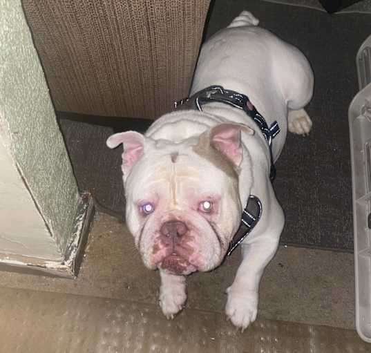 Photo of Cash