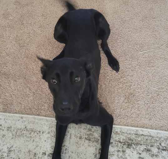 Photo of Ellie