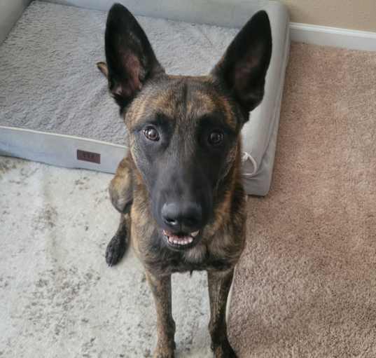 Photo of Zuko