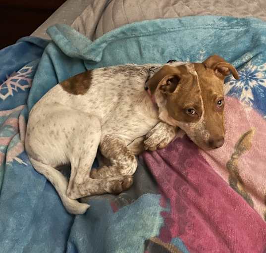 Photo of Zoe