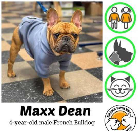 Photo of Maxx Dean