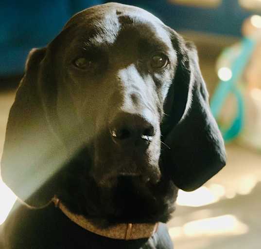 Photo of Mia