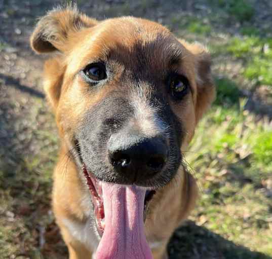 Photo of Duke