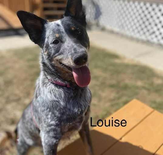 Photo of Louise