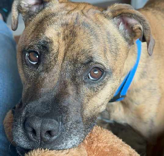 Photo of Duke