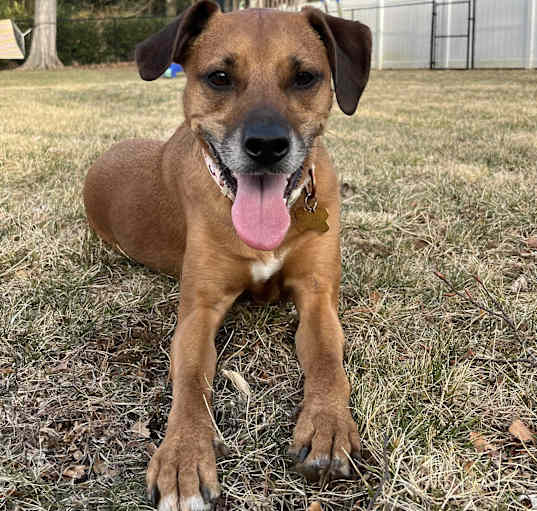 Photo of Ralphy