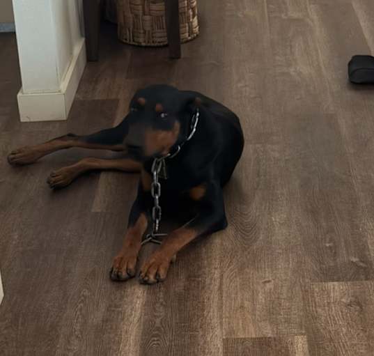 Photo of Zeus