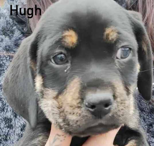Photo of Hugh