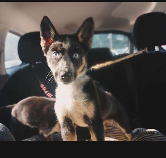Photo of Locke