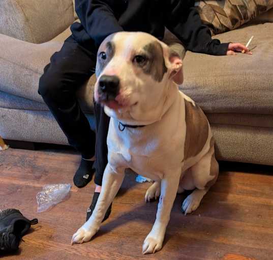 Photo of Kilo Ren
