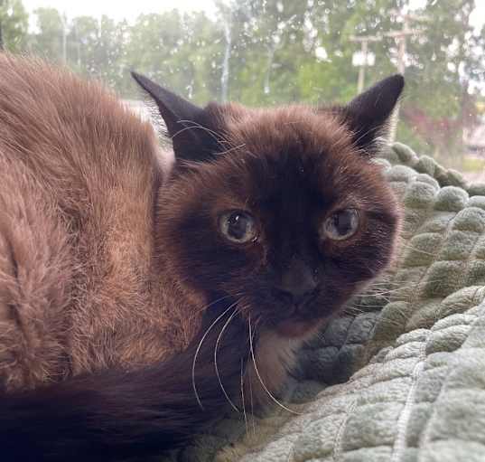 Photo of Tia