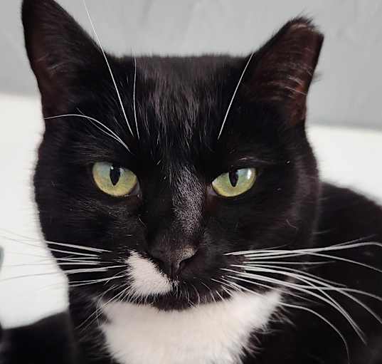 Photo of Marcie
