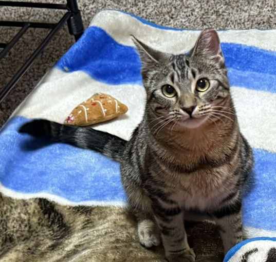 Photo of Kida
