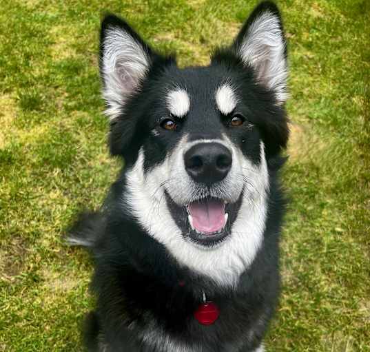 Photo of Juneau