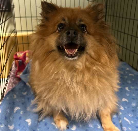 Photo of Teddy