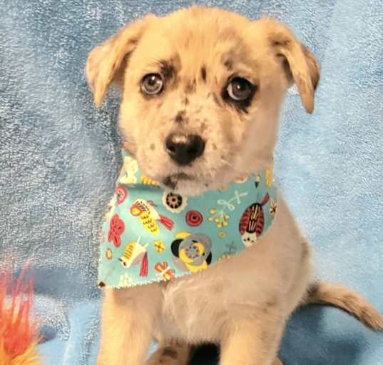 Photo of Windy