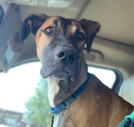 Photo of Zero