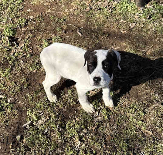 Photo of Penelope