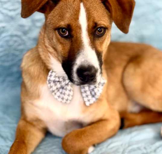 Photo of Winston