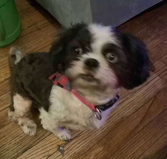 Photo of PePe
