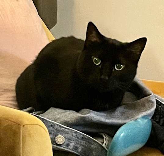Photo of Inky