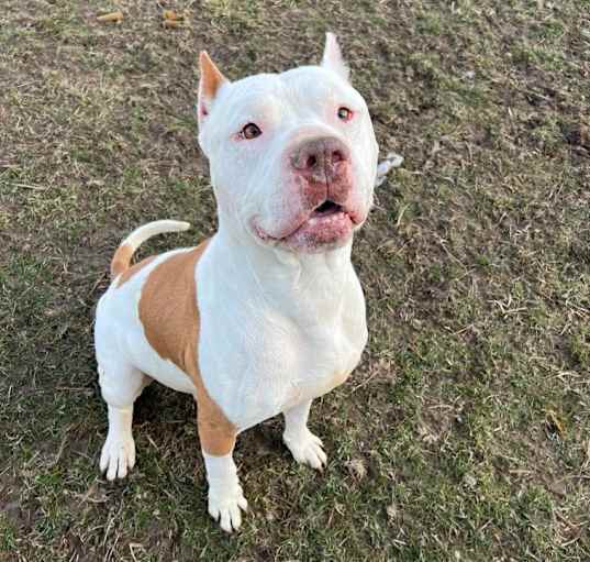 Photo of Deacon