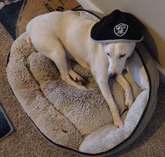 Photo of BLIZZ