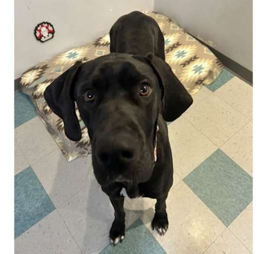 Photo of Maggie