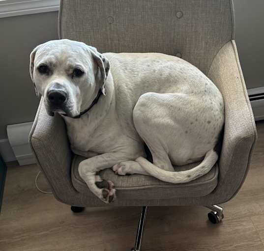 Photo of Jameson