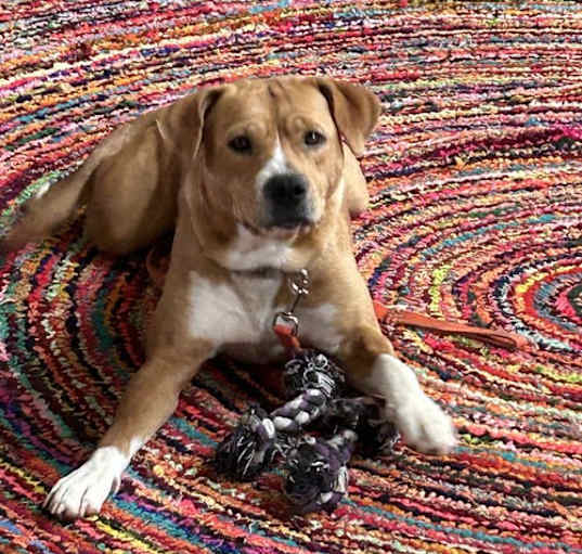 Photo of Margo