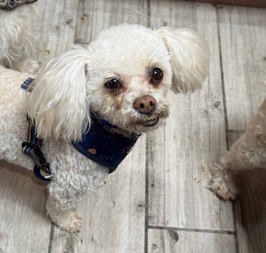 Photo of Charlie
