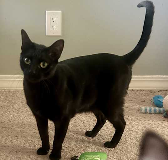 Photo of Kira