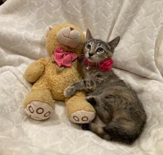 Photo of Bobbi