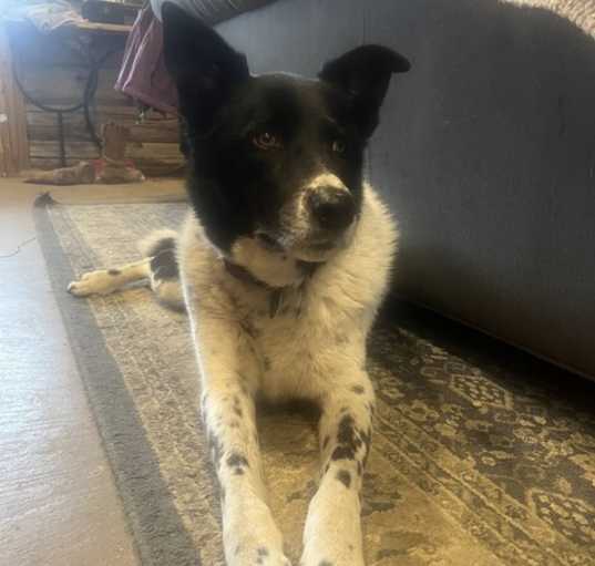 Photo of Blue