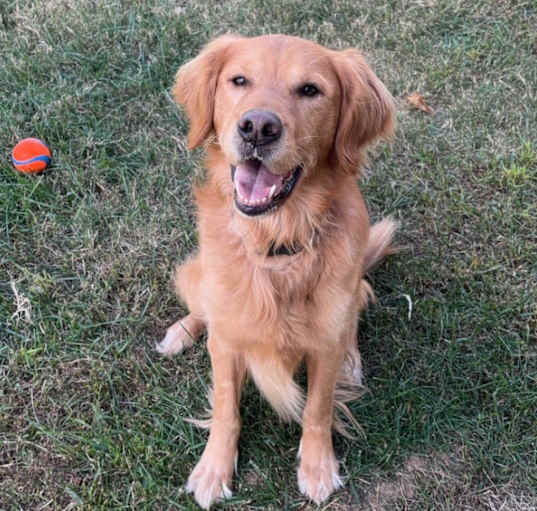 Photo of Theodore
