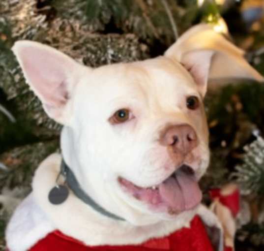 Photo of Cora