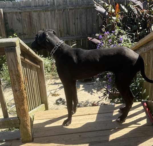 Photo of Bertha