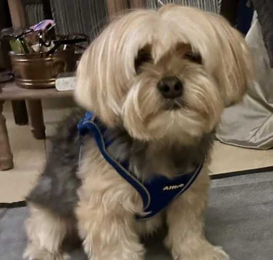 Photo of Barkley