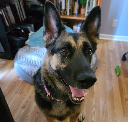 Photo of Samantha