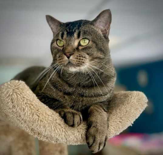 Photo of Sparky