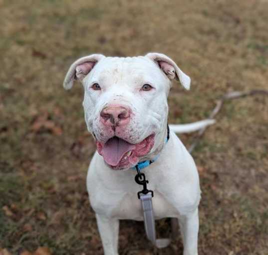 Photo of CASPER