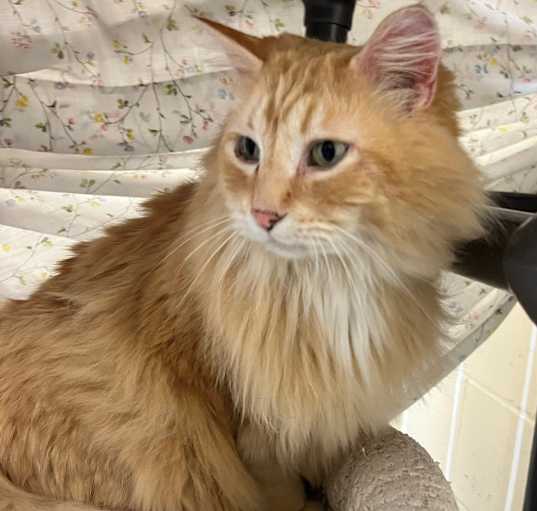 Photo of Ezekiel