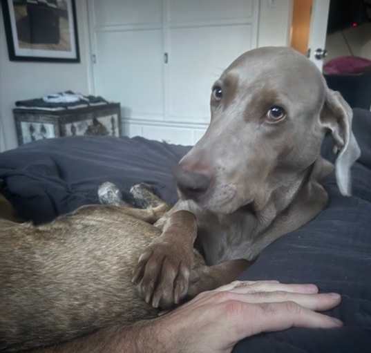 Photo of Blue