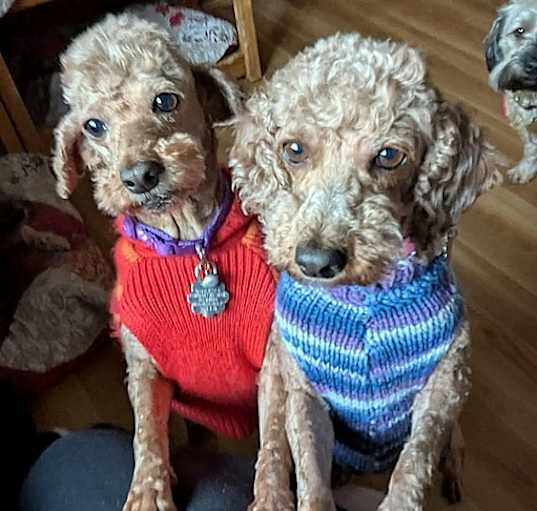 Photo of Reba & Ruby