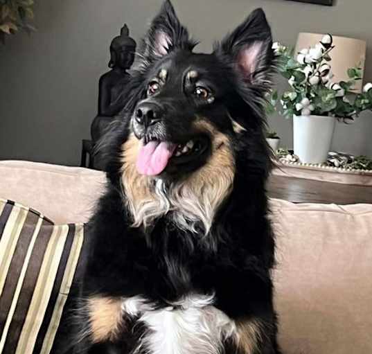 Photo of Daphne