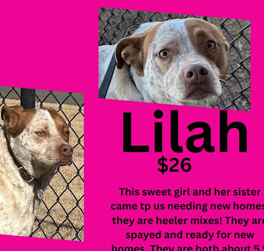 Photo of Lilah