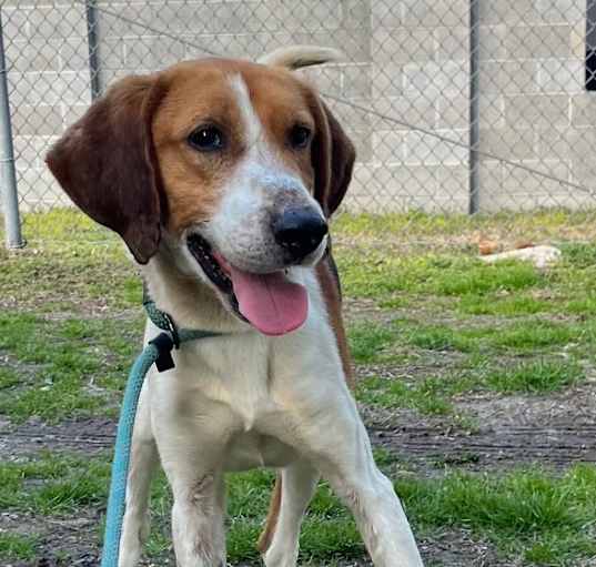 Photo of Grog URGENT HELP NEEDED!!!