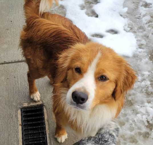 Photo of Rudy