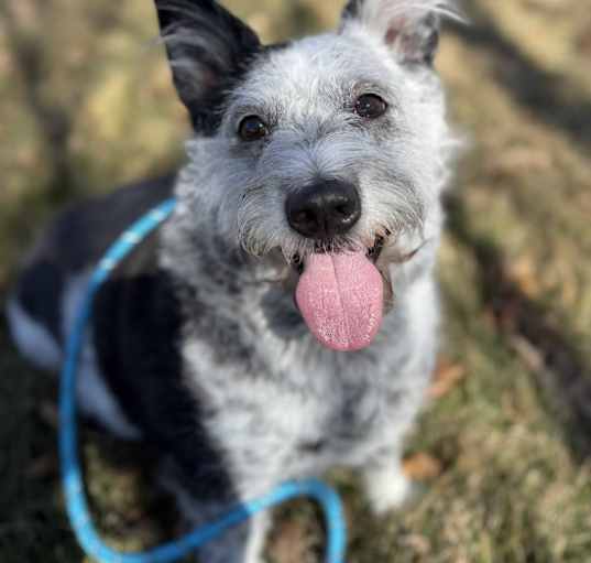 Photo of Nala