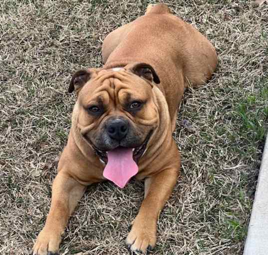 Photo of Maverick